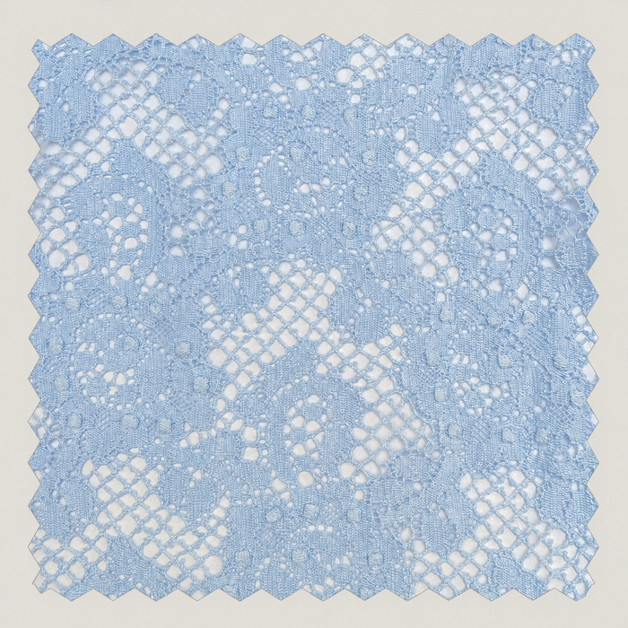Baby Blue Paisley Lace