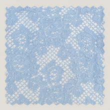 Baby Blue Paisley Lace